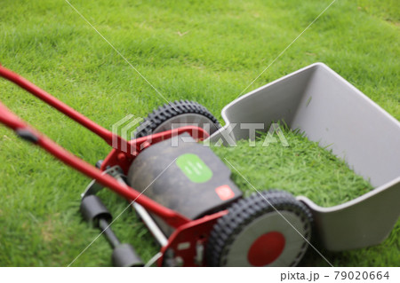 芝刈り 79020664