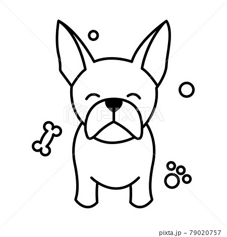 Black line vector illustration cartoon on a white background of a cute French Bulldog. Black line vector illustration cartoon on a white background of a cute French Bulldog. 79020757