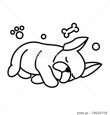 Black line vector illustration cartoon on a white background of a cute French Bulldog. Black line vector illustration cartoon on a white background of a cute French Bulldog. 79020758