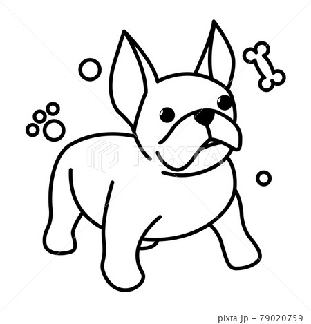 Black line vector illustration cartoon on a white background of a cute French Bulldog. Black line vector illustration cartoon on a white background of a cute French Bulldog. 79020759