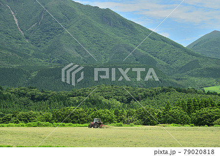 久住高原 久住高原 79020818