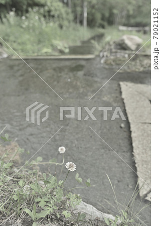 老野湧水 老野湧水 79021152
