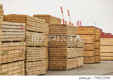 港の資材置き場に積み上がった建築用木材 港の資材置き場に積み上がった建築用木材 79021956