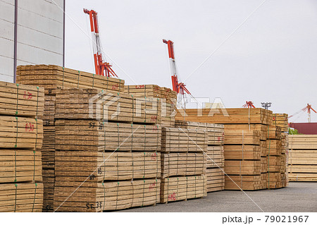 港の資材置き場に積み上がった建築用木材 港の資材置き場に積み上がった建築用木材 79021967