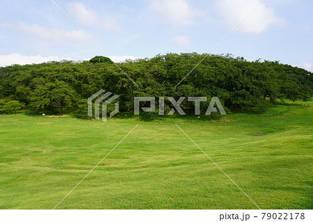 根岸森林公園 根岸森林公園 79022178