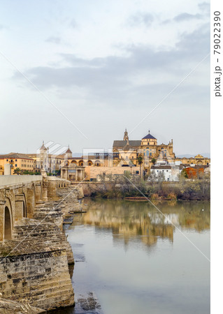 view of Cordoba with Mosque Cathedral, Spain view of Cordoba with Mosque Cathedral, Spain 79022390