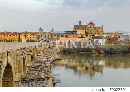 view of Cordoba with Mosque Cathedral, Spain 79022391