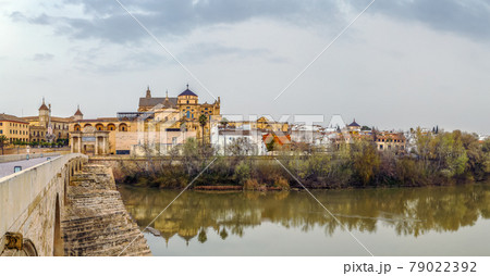 view of Cordoba with Mosque Cathedral, Spain view of Cordoba with Mosque Cathedral, Spain 79022392