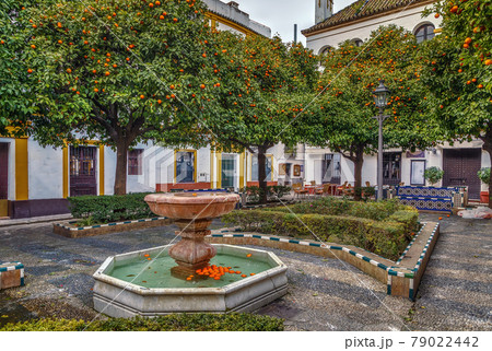 Square in Seville. Spain Square in Seville. Spain 79022442