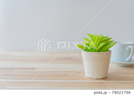 白いコーヒーカップ インテリア 白背景イメージ素材 79022796