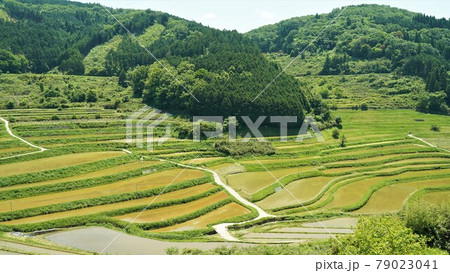 久米郡 大垪和西の棚田 久米郡 大垪和西の棚田 79023041