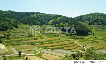美咲町 大垪和西の棚田 美咲町 大垪和西の棚田 79023043