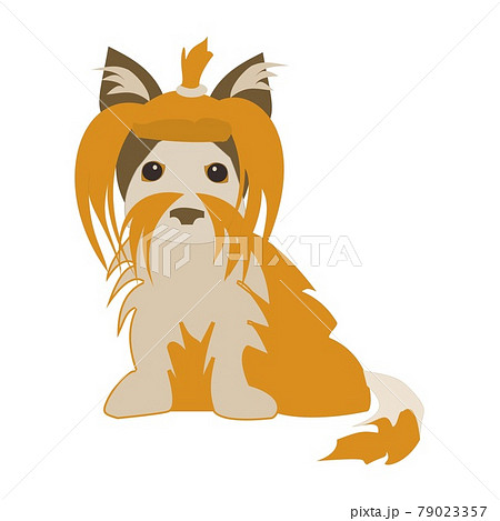Yorkshire Terrier dog Flat vector icon illustration on white background 79023357