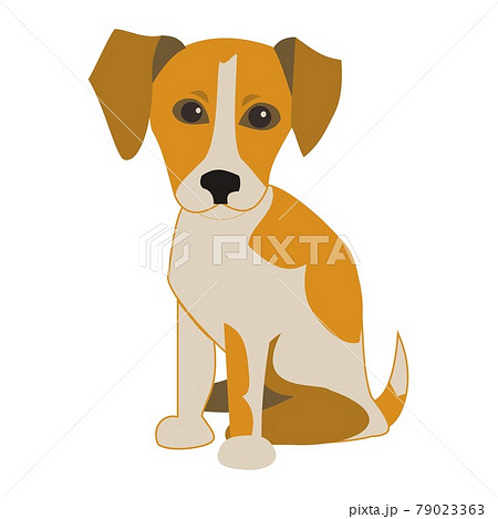 Jack Russell Terrier dog Flat vector icon illustration on white background 79023363