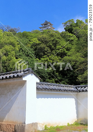 【香川県】新緑の丸亀城（現存12天守、石垣の名城） 79023559