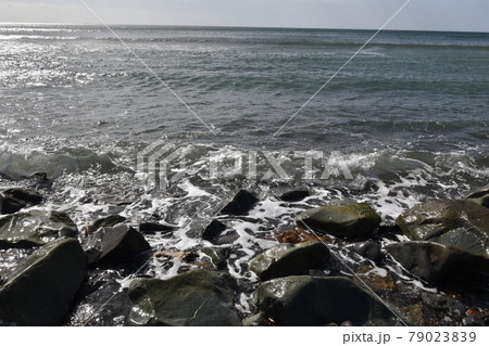 鹿児島の浜辺4 79023839
