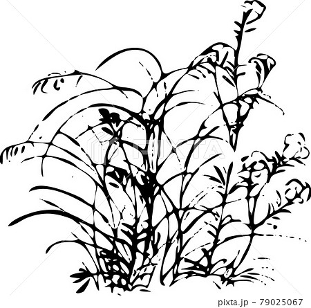 鳥獣戯画:何気ない草むら5 鳥獣戯画:何気ない草むら5 79025067