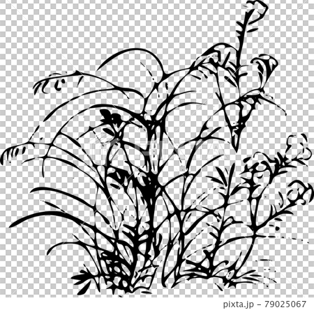 鳥獣戯画:何気ない草むら5 鳥獣戯画:何気ない草むら5 79025067