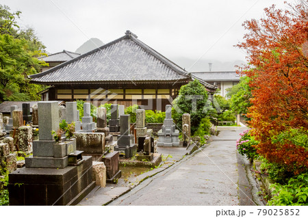 了仙寺 了仙寺 79025852