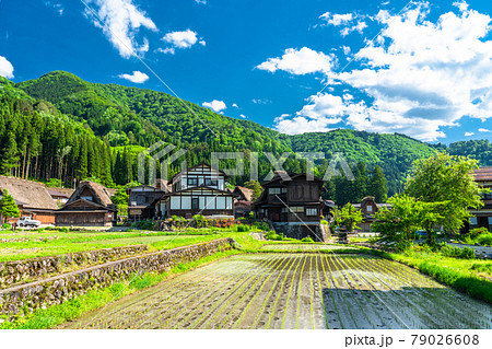 《岐阜県》白川郷合掌造り集落・田植えシーズン 79026608