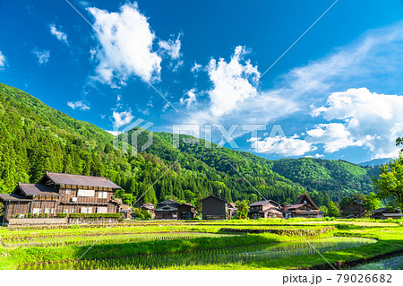 《岐阜県》白川郷合掌造り集落・田植えシーズン 79026682