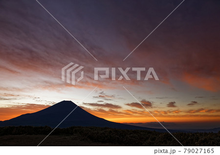 竜ヶ岳から見る朝焼け空と富士山 79027165