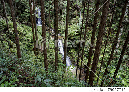 串原七つの滝 串原七つの滝 79027715