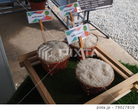 SERDANG, MALAYSIA -DECEMBER 03, 2016: Rice in colorful bamboo bowl on rack at Serdang, Selangor. It is display on rack for public and categorized by type.  79027810