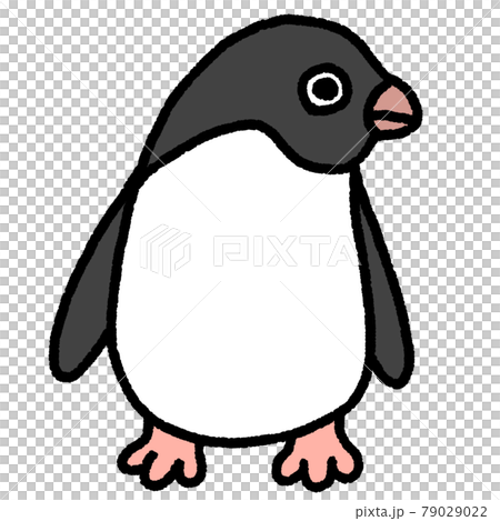 Adelie penguin Adelie penguin 79029022