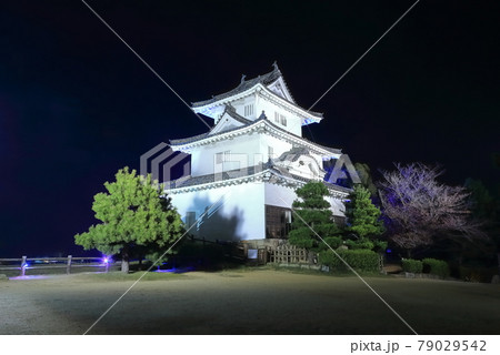 【香川県】丸亀城の夜景（ライトアップ） 79029542