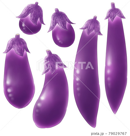 小・中・長・ナス 小・中・長・ナス 79029767