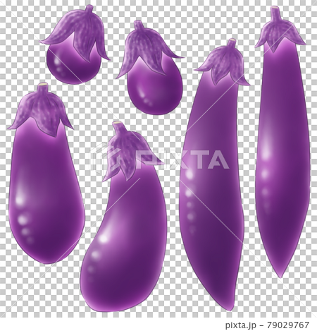 小・中・長・ナス 小・中・長・ナス 79029767