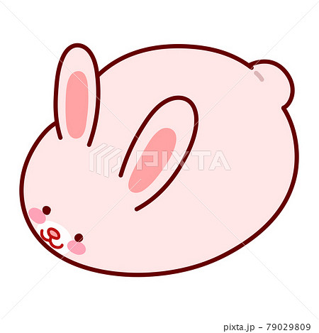 シンプルで可愛いまん丸なウサギのイラスト　主線あり 79029809