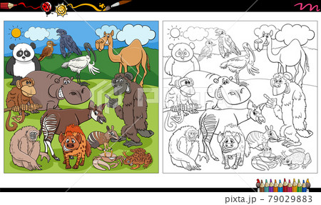 cartoon wild animals characters group coloring book page 79029883