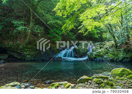 【静岡県】新緑の伊豆滑沢渓谷 79030408