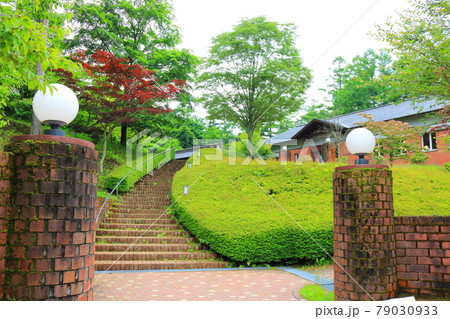 新緑に包まれた公園 新緑に包まれた公園 79030933