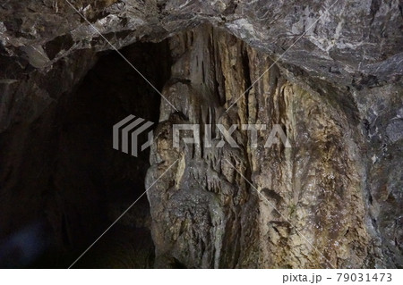 飛騨大鍾乳洞の鍾乳石 79031473