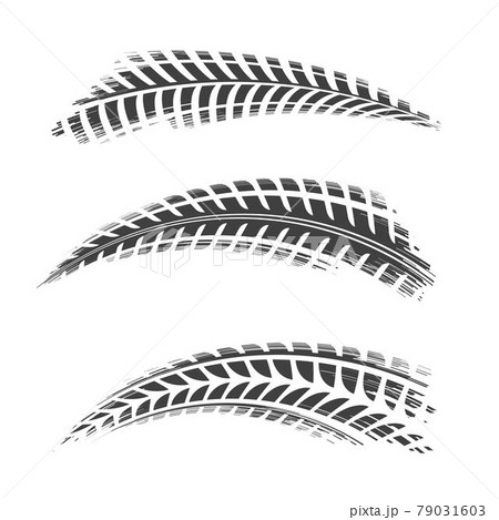 Tire vector icon illustration 79031603