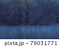 早朝の大正池 79031771