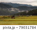 大町市の田園風景 79031784