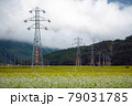 大町市の田園風景 79031785