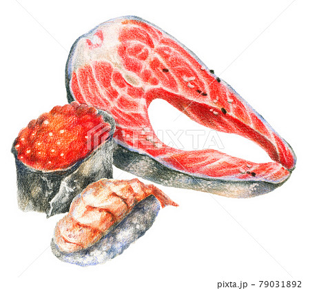 Color pencils illustration of seafood 79031892