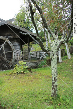 水車小屋　日本の原風景	 79033302