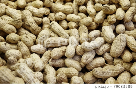 Peanuts are unpeeled. background and texture. agriculture. Peanuts are unpeeled. background and texture. agriculture. 79033589