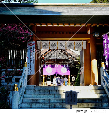 東京大神宮 東京大神宮 79033866