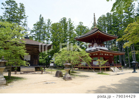 高野山壇上伽藍 三昧堂と東塔 和歌山県高野町 高野山壇上伽藍 三昧堂と東塔 和歌山県高野町 79034429