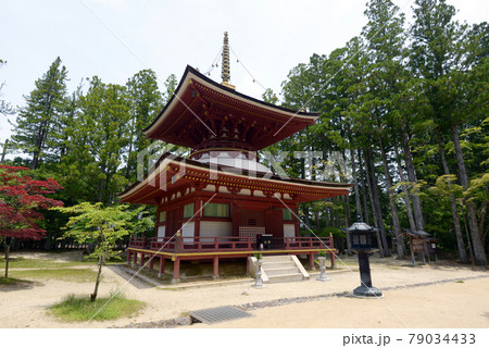 高野山壇上伽藍 東塔 和歌山県高野町 高野山壇上伽藍 東塔 和歌山県高野町 79034433