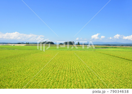 2020年夏、奥羽本線の及位駅から新庄駅間車両からの車窓風景 79034638