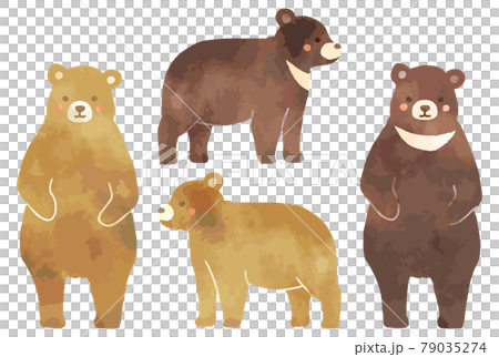 かわいい水彩画のクマのイラストセットのイラスト素材 [79035274