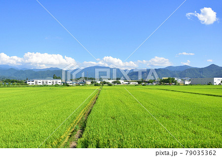2020年夏、山形線の新庄駅から赤湯駅間の車窓風景と駅風景 2020年夏、山形線の新庄駅から赤湯駅間の車窓風景と駅風景 79035362
